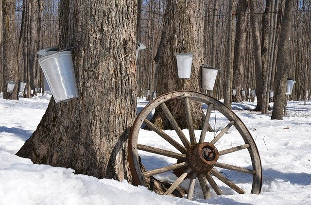 Spring Nature Activities For Preschoolers