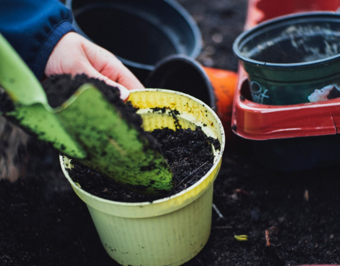 Spring Nature Activities For Preschoolers