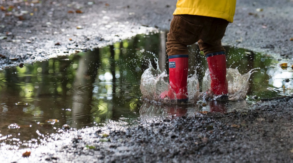 Spring Nature Activities For Preschoolers