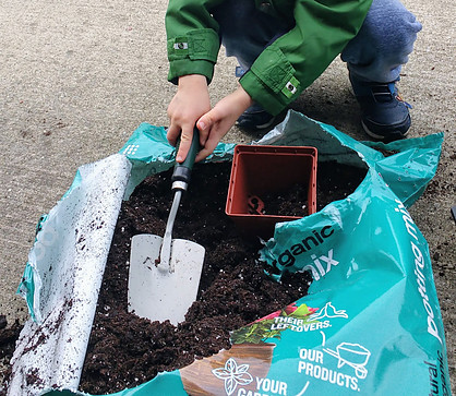 Earth Day Vs. Arbor Day - History & Ways to Celebrate - Plant Something Small