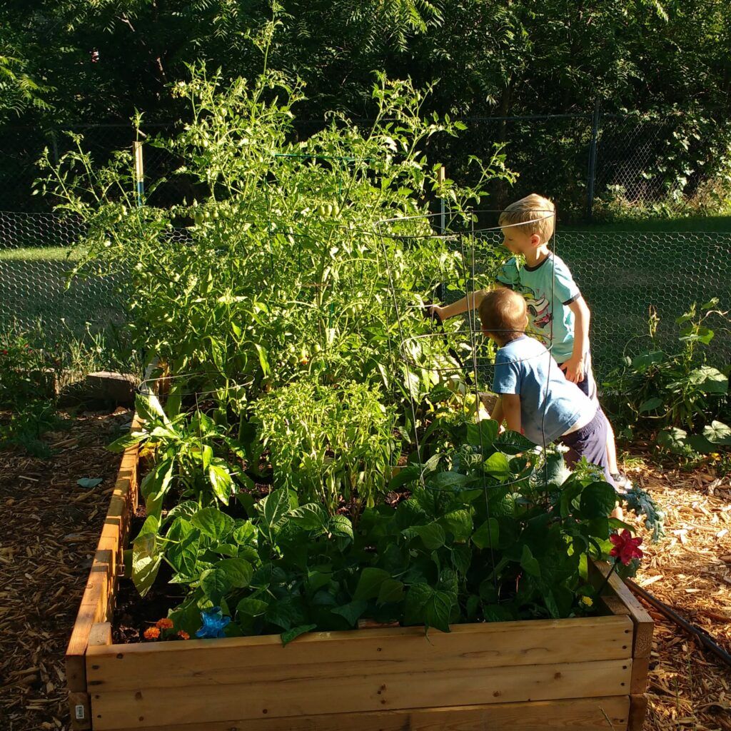 Planning A Garden With Kids