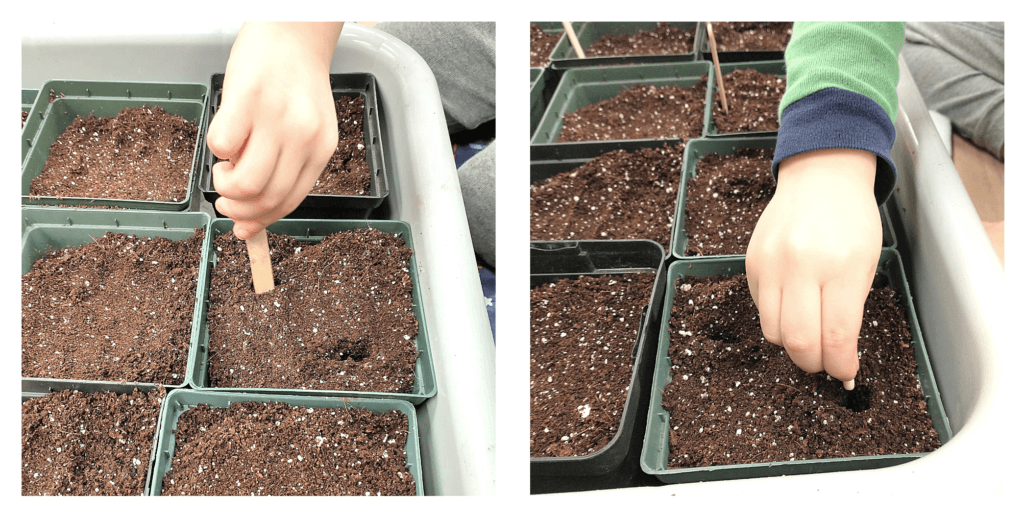 How to Plant Seeds with Kids Indoors: A Fun Spring Activity!