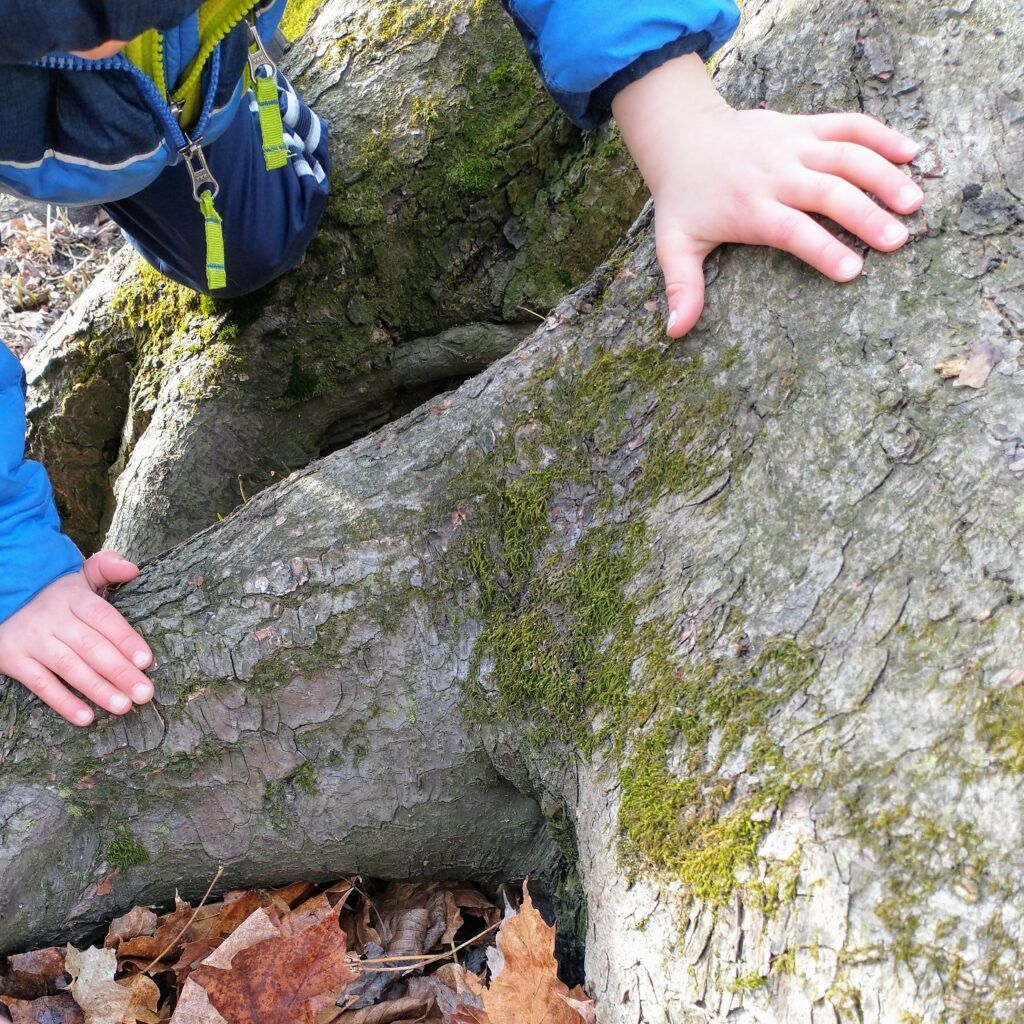 Letterboxing Vs. Geocaching -Similarities and Differences 
