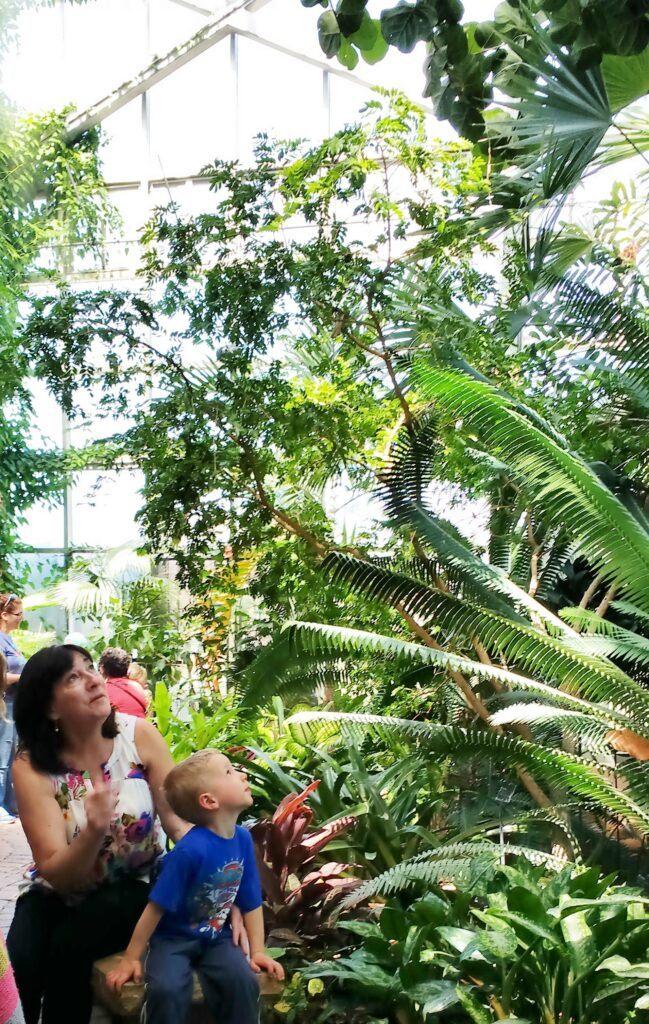 Frederik Meijer Gardens (Grand Rapids, MI) Family Guide - Best Kid-Friendly Spots - Tropical Conservatory