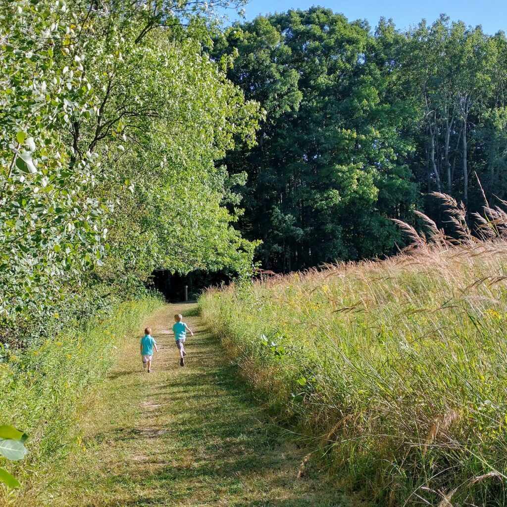 7 kid-friendly games to play on trail walks and nature hikes – Active For  Life