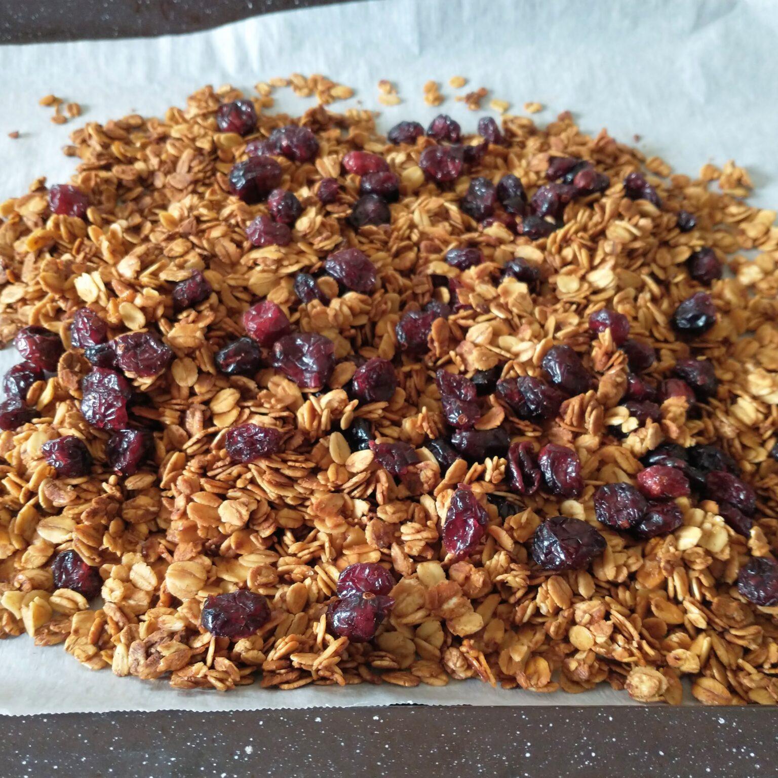 Easy And Healthy Homemade Granola All Natural Adventures