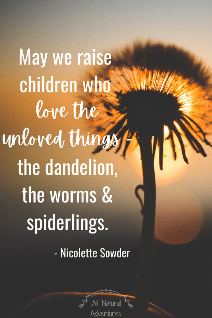 Fun Dandelion Facts For Kids - Children's Nature Quotes