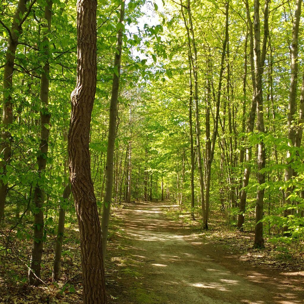 Hike West Michigan: Best Ottawa County Trails - Pigeon Creek