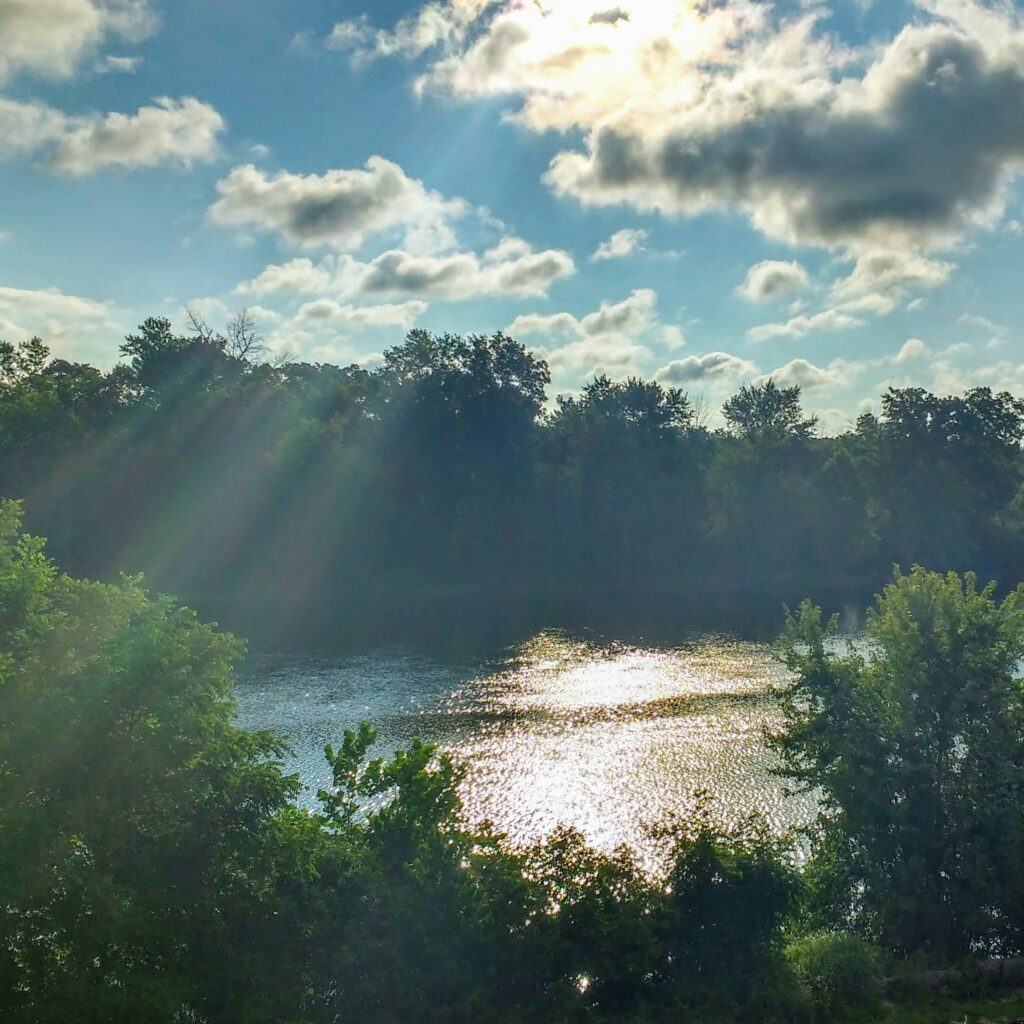 Earth Day Vs. Arbor Day - History & Ways to Celebrate - Grand Ravines Park in Jenison, Michigan