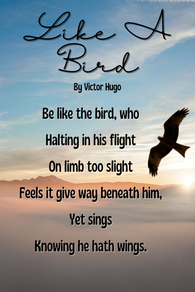 Short & Sweet Nature Poems For Children - Like A Bird By Victor Hugo