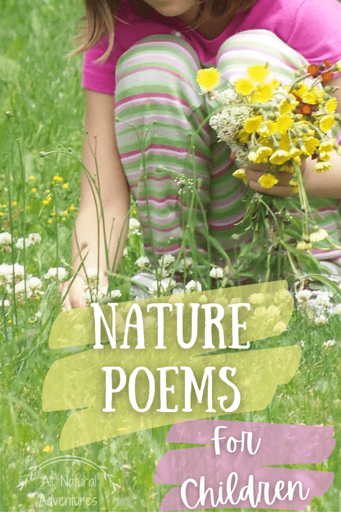 Short & Sweet Nature Poems For Children - All Natural Adventures