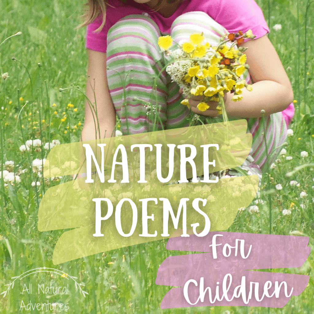 Short & Sweet Nature Poems For Children - All Natural Adventures