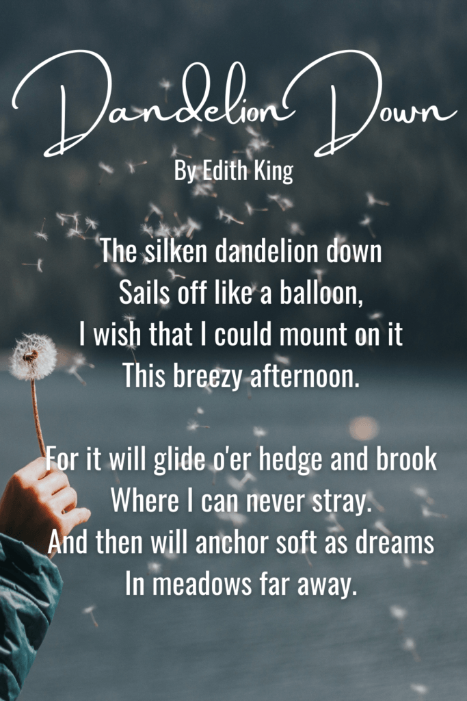 Short & Sweet Nature Poems For Children - Dandelion Down By Edith King