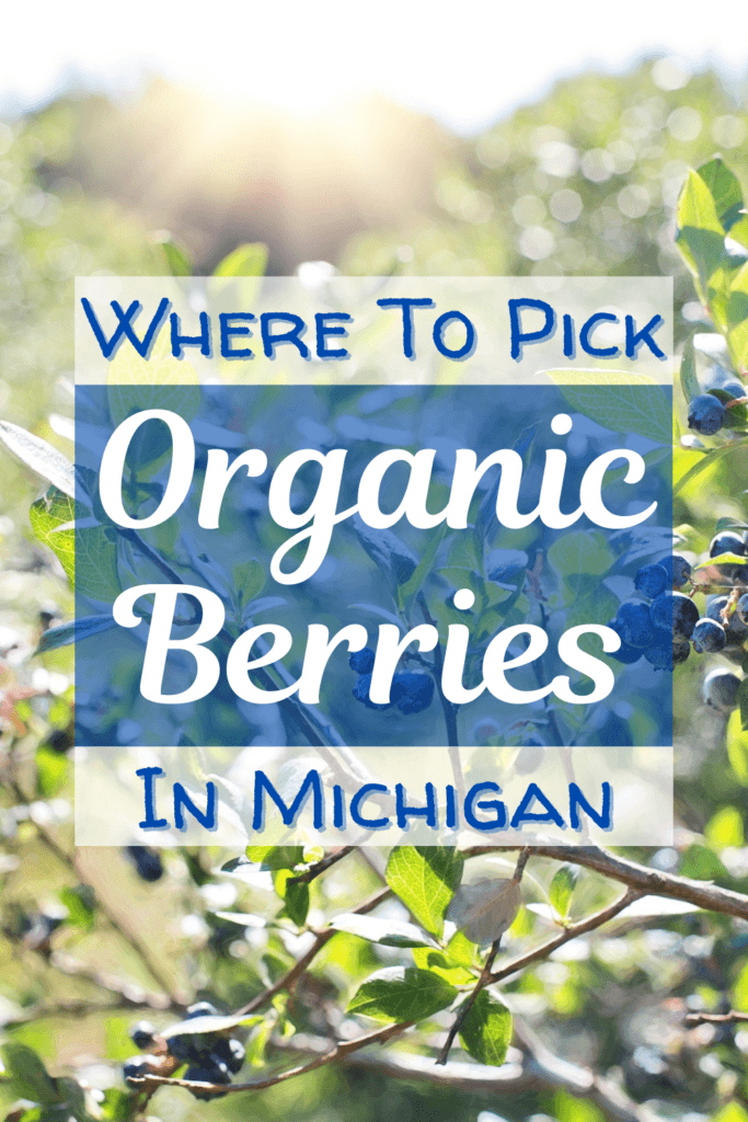 Where To Pick Organic Berries In Michigan - U-Pick Blueberry, Strawberry, Raspberry, Cherry Farms