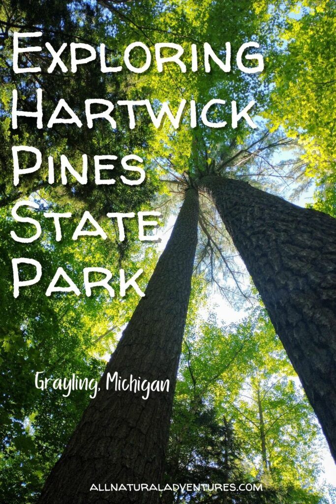 Exploring Hartwick Pines State Park In Grayling, Michigan