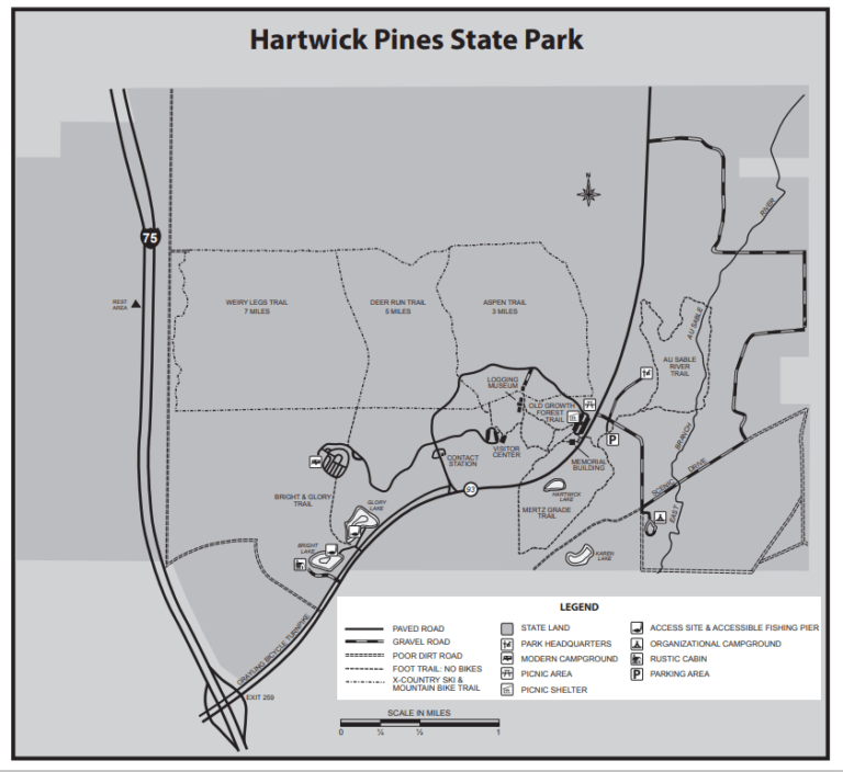 Epic Forests At Hartwick Pines - All Natural Adventures