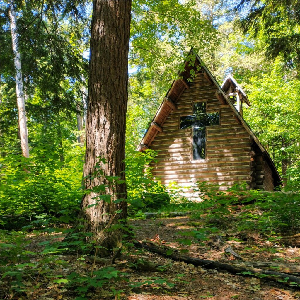 Exploring Hartwick Pines State Park In Grayling, Michigan