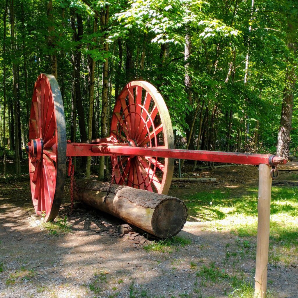 Exploring Hartwick Pines State Park In Grayling, Michigan