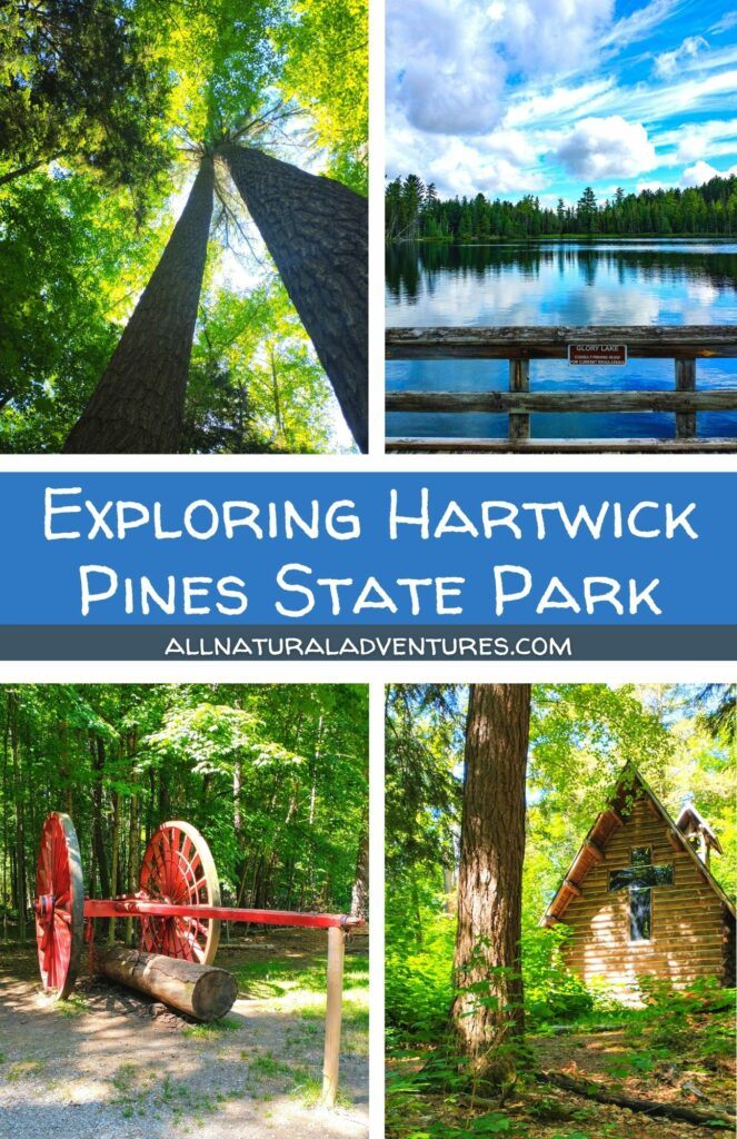 Exploring Hartwick Pines State Park In Grayling, Michigan