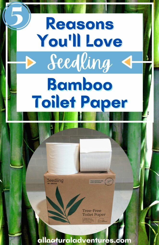 Should You Convert To Bamboo Toilet Paper?