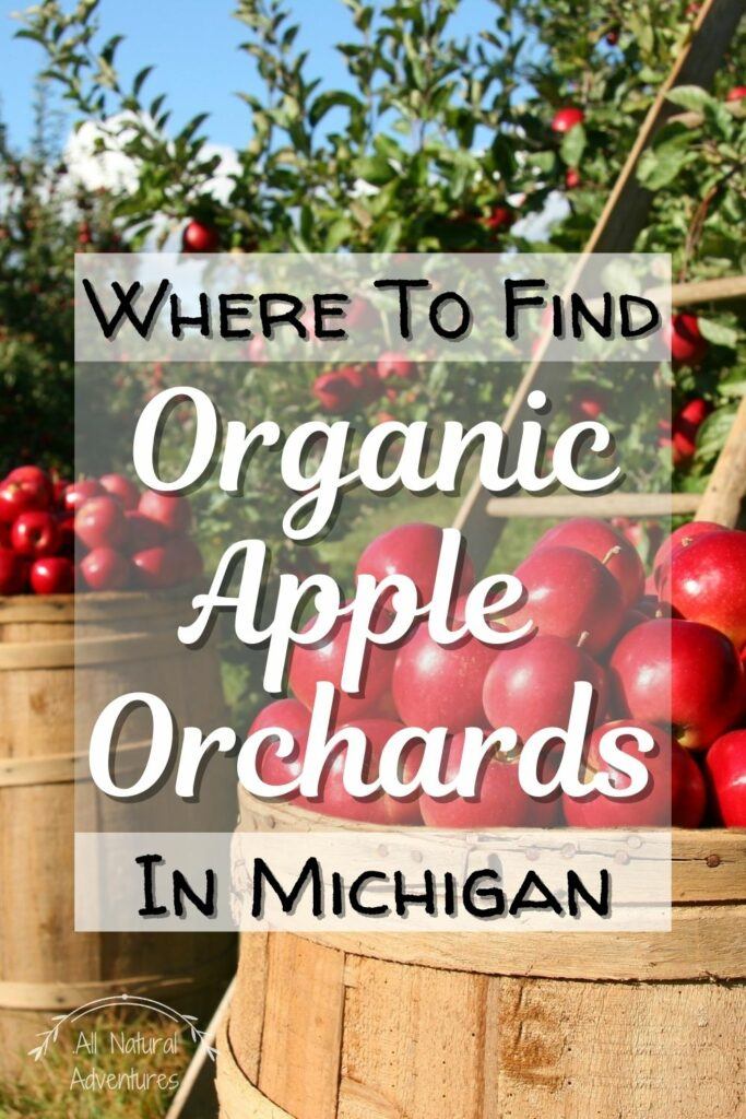Visit An Organic Apple Orchard For Michigan Fall Magic