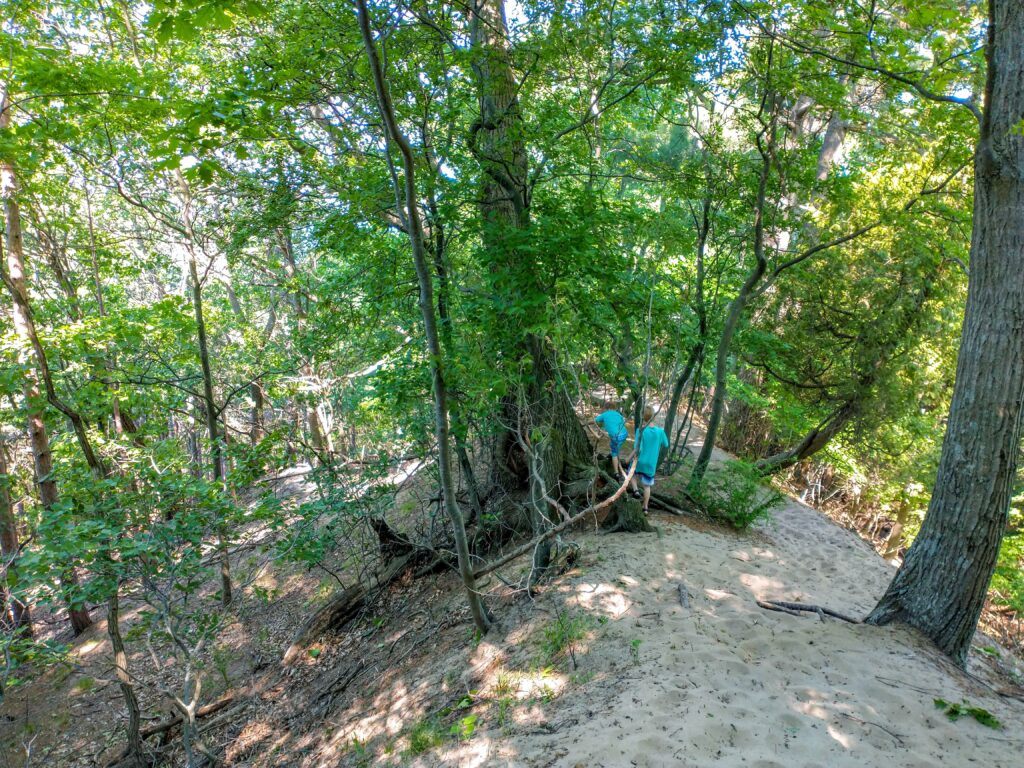 3 Must See Spectacular Hikes In Saugatuck, Michigan - Mt. Baldhead