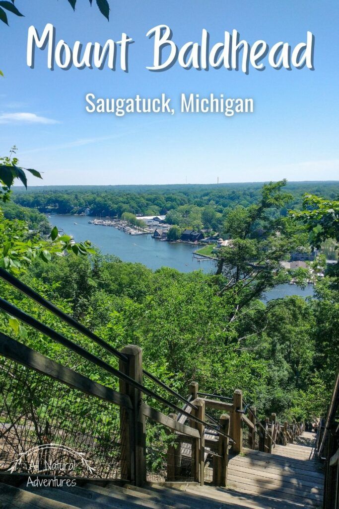 3 Spectacular Hiking Trails in Saugatuck, Michigan - Mount Baldhead