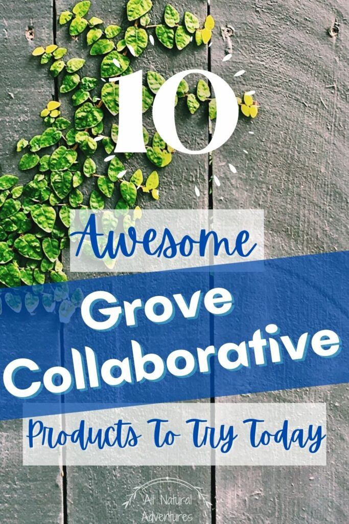 10 Best Grove Collaborative Products To Try Today