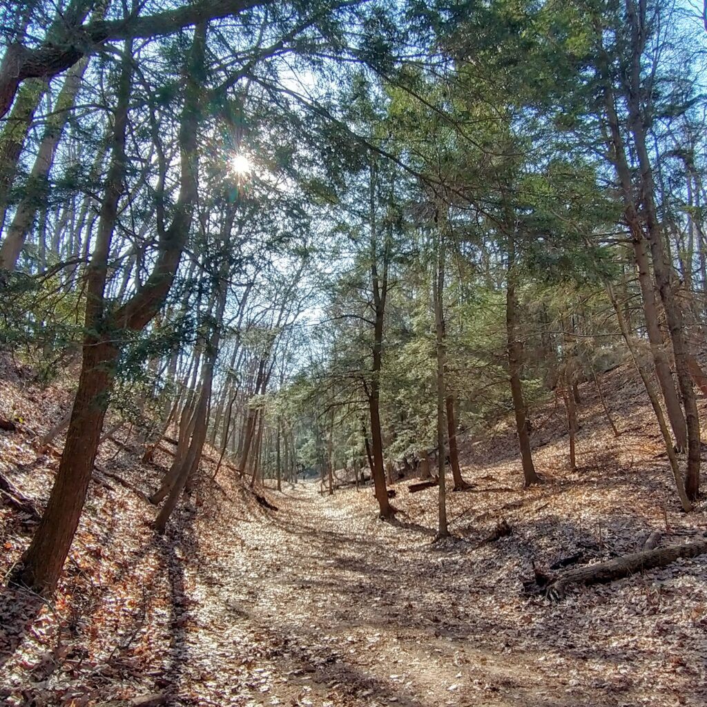 3 Must See Spectacular Hikes In Saugatuck, Michigan - Saugatuck Dunes State Park