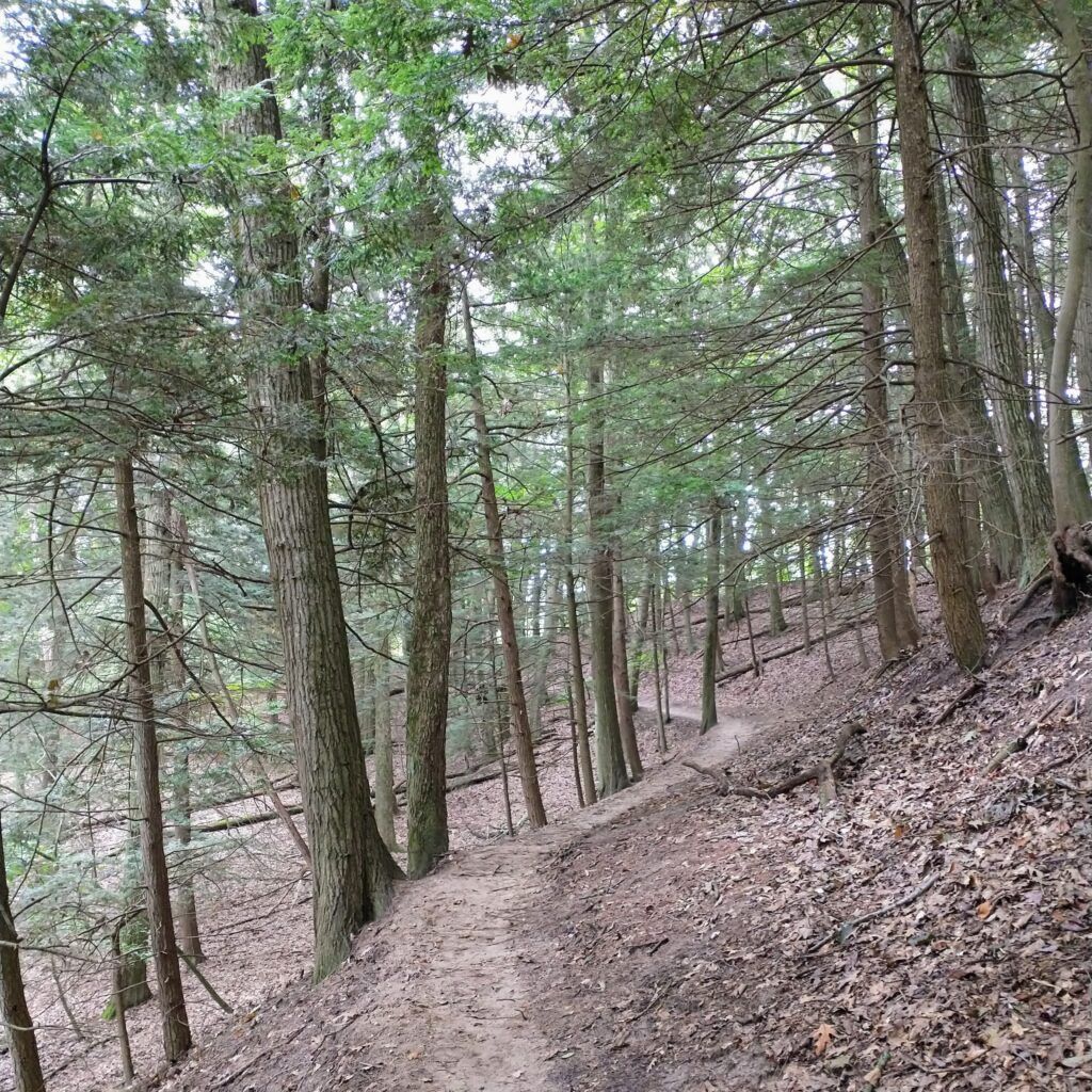 3 Spectacular Hiking Trails in Saugatuck, Michigan - Crow's Nest Hike/Tallmadge Nature Preserve