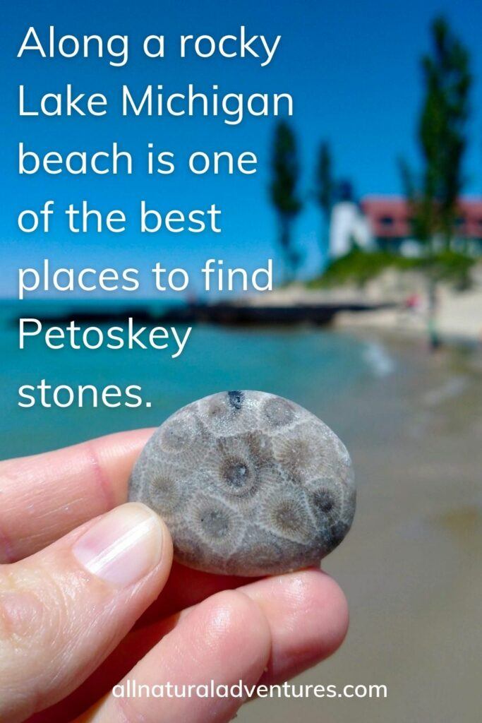 Lake Michigan Fun Facts For Kids - Petoskey Stones