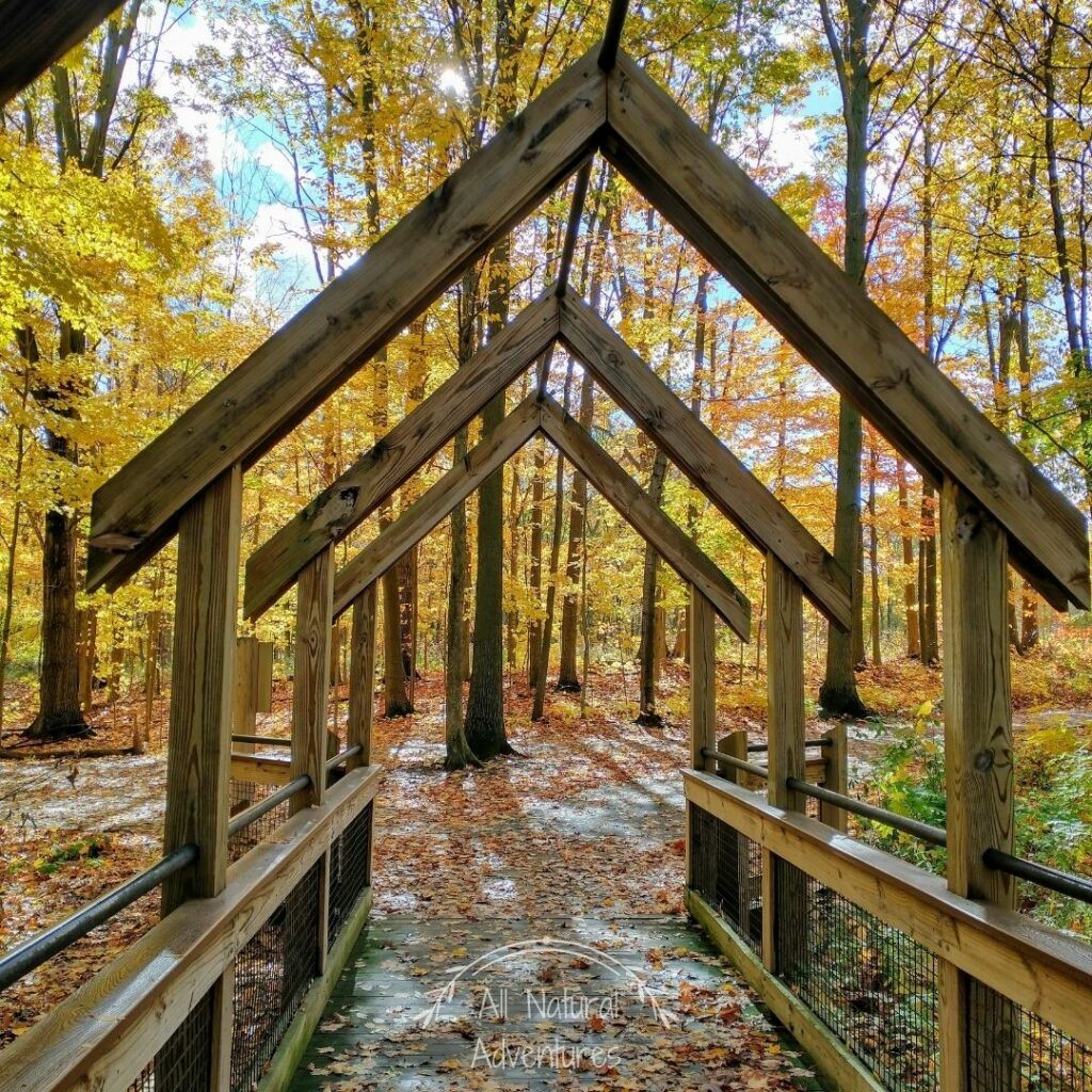 Beautiful Places to Photograph at the Grand Ravines Park - Ottawa County, West Michigan
