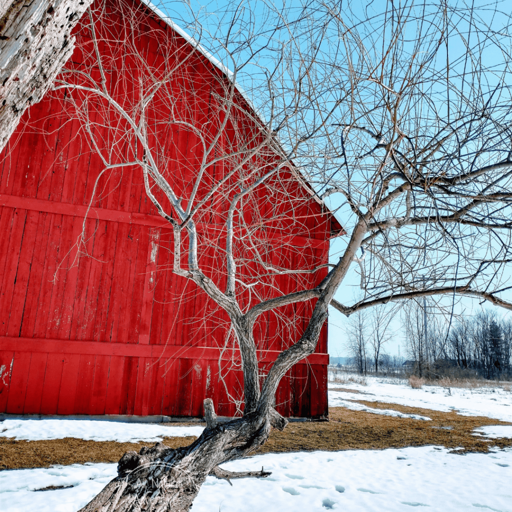 Beautiful Places to Photograph at the Grand Ravines Park - Ottawa County, West Michigan