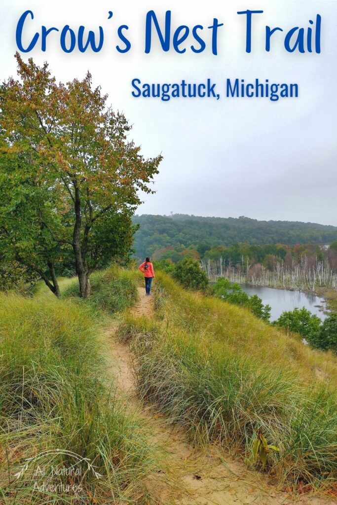 3 Spectacular Hiking Trails in Saugatuck, Michigan - Crow's Nest Hike/Tallmadge Nature Preserve