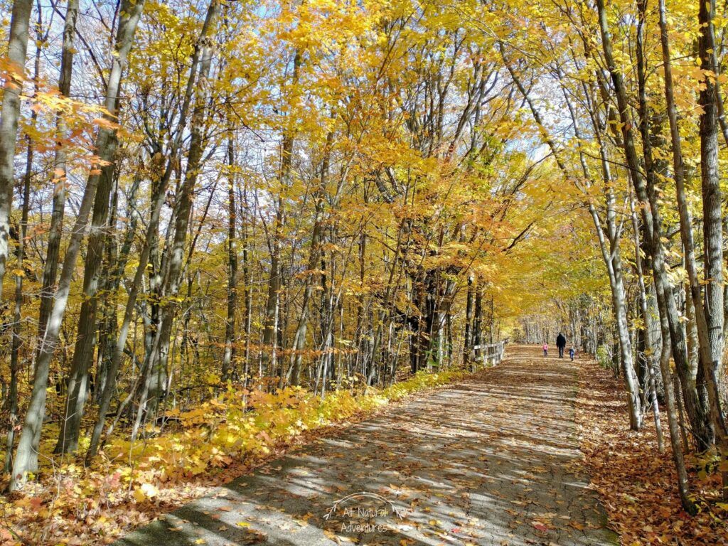 Beautiful Places to Photograph at the Grand Ravines Park - Ottawa County, West Michigan