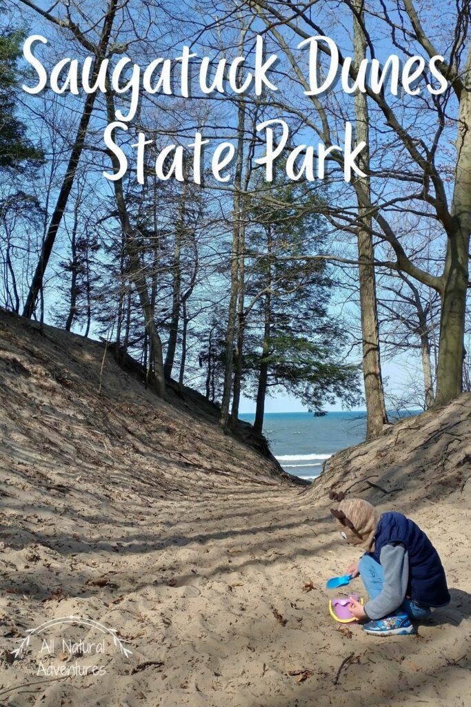 3 Spectacular Hiking Trails in Saugatuck, Michigan - Saugatuck Dunes State Park