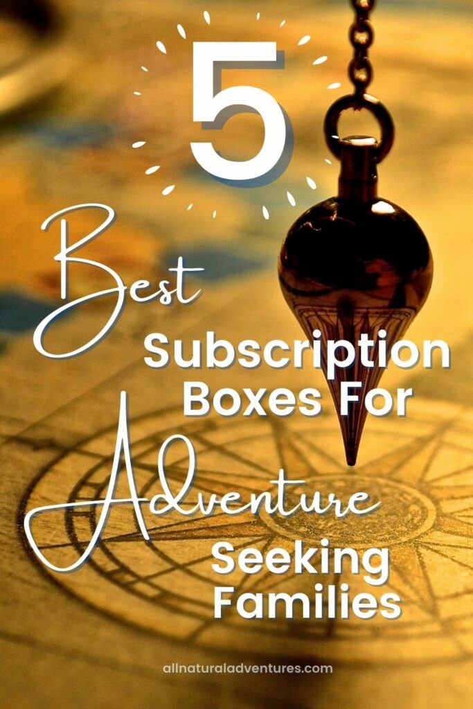 Best family subscription sales boxes