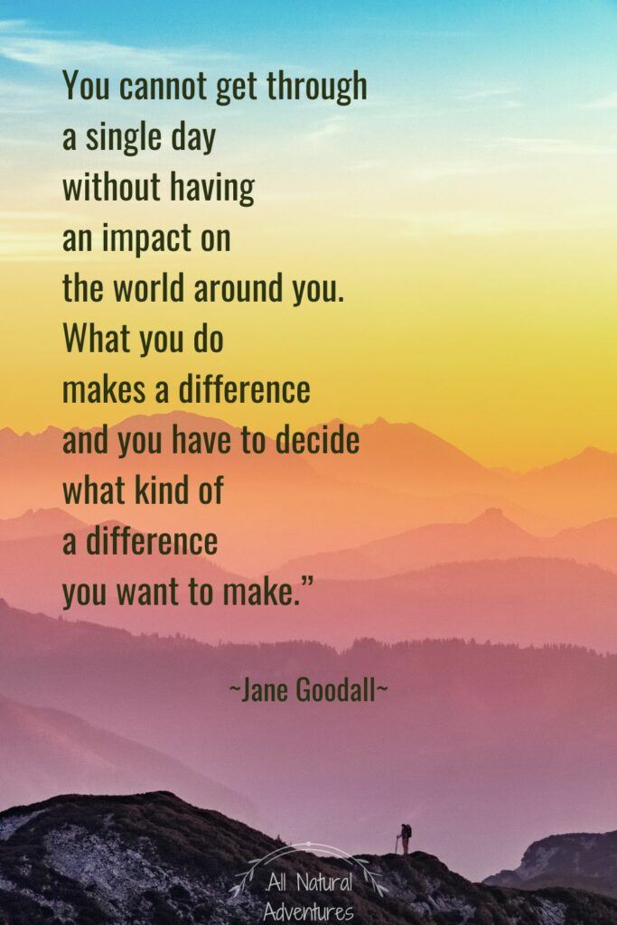 Powerful Quotes About Nature Conservation - Jane Goodall