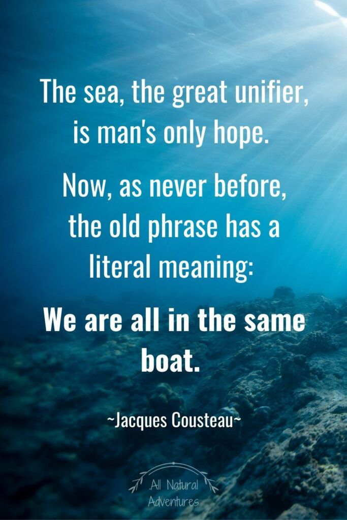Powerful Quotes About Nature Conservation - Jacques Cousteau