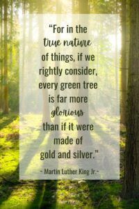 Powerful Quotes About Nature Conservation - All Natural Adventures