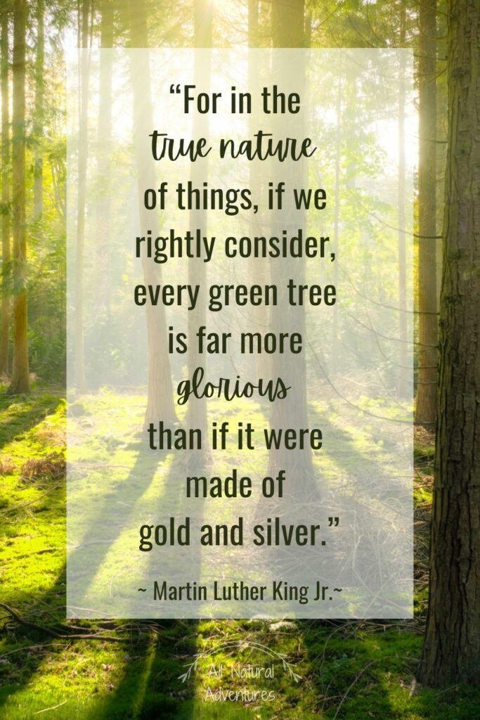Powerful Quotes About Nature Conservation - Martin Luther King Jr.