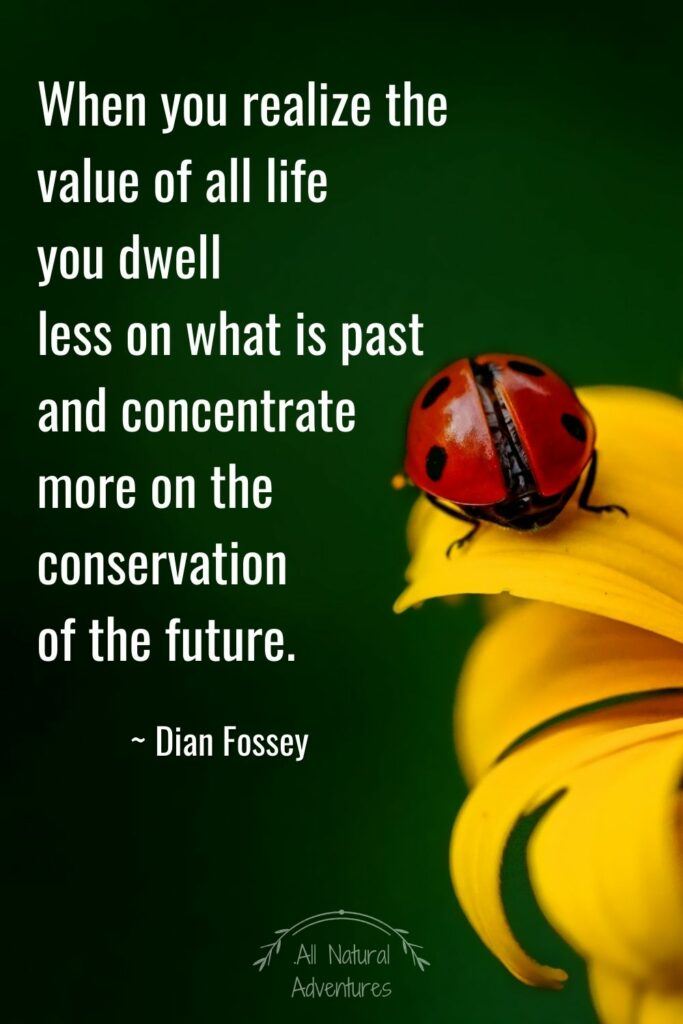 Powerful Quotes About Nature Conservation - Dian Fossey