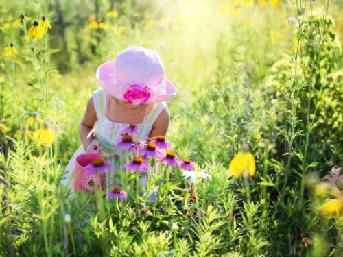 Nature Gifts for Kids