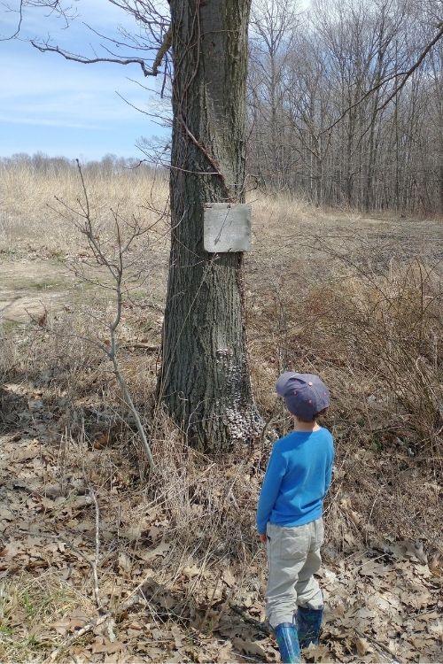 Letterboxing With Kids