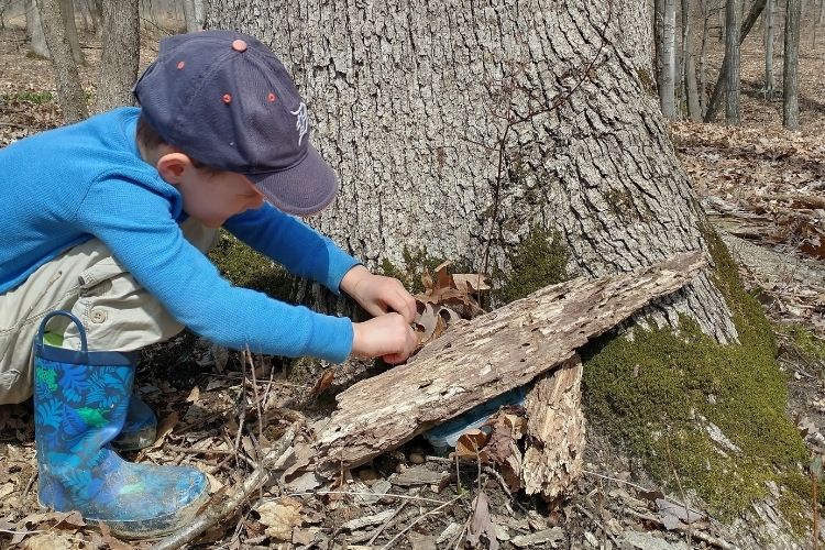 Letterboxing with kids