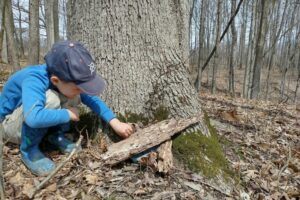 Letterboxing with kids