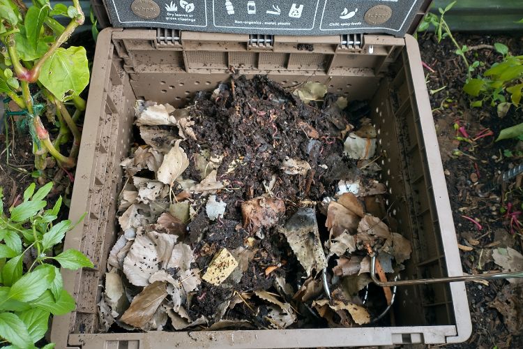 Subpod Review: 5 Reasons to Try a Subpod Garden Compost System