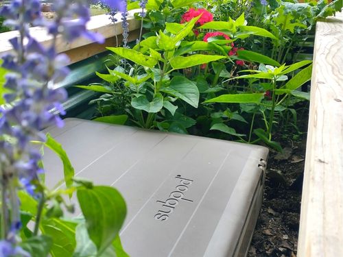 Subpod Review: 5 Reasons to Try a Subpod Garden Compost System