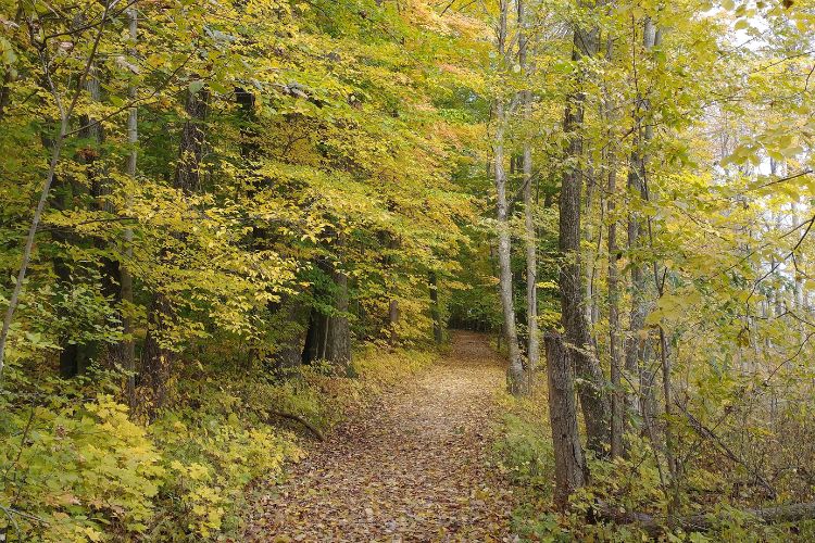 Hiking Trails in Grand Haven, Michigan - Hofma Preserve