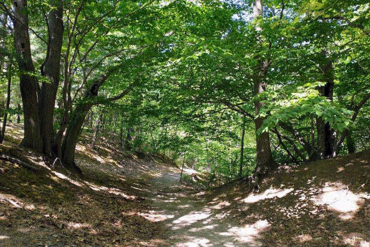 Lake Michigan Hikes - North Ottawa Dunes (1)